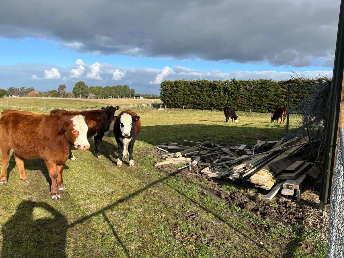 Ra-Ata Farm Bed and Breakfast Rangiora Eksteriør billede